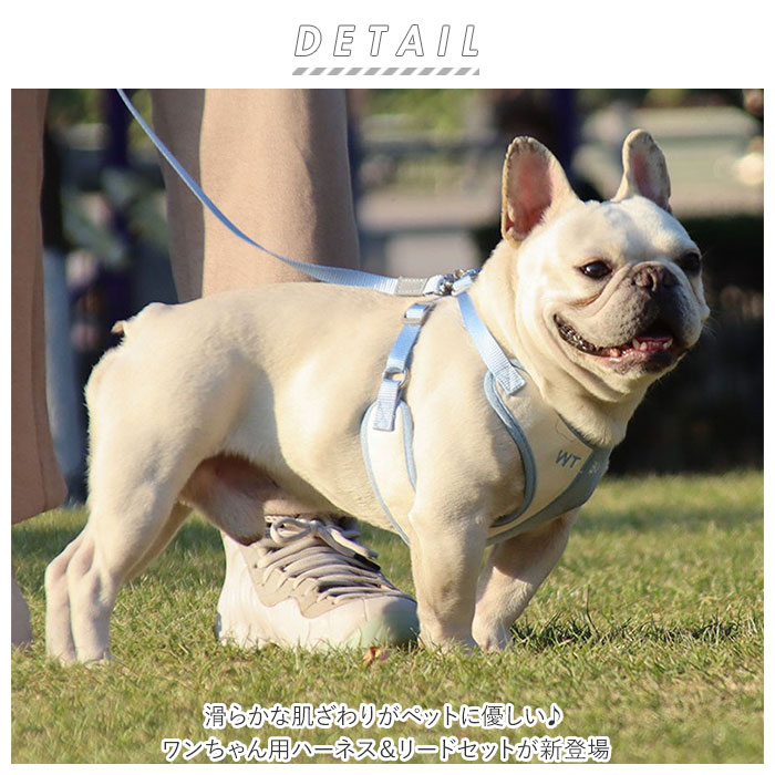 犬 リード ハーネス セット 通販 ハーネスリード 猫 一体型 簡単 着脱 調節可能 引っ張り防止 抜けにくい ソフト デザイン かわいい 小型犬 中型犬 ネコ ねこ いぬ イヌ 咳き込み軽減 散歩 出かけ用