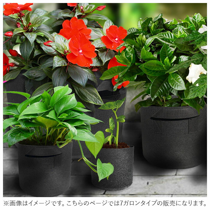 �Կ��ۥݥå� 7������ ���� �� �ץ�󥿡� ���� �� ����ȭ ��ʪ���� ������ ��ȭ �ե���� ��ü��դ� �������դ� ��� �����ǥ˥� �����ǥ� �ե� �� ���꡼�� DIY DIY