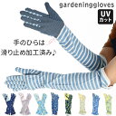 ガーデニング 手袋 おしゃれ 通販 UVカット ロンググローブ マルチグローブ ロング 綿 コットン アームカバー 滑り止め 紫外線対策 熱中症対策 日焼け対策...