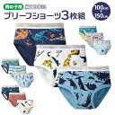 ブリーフ 男児 通販 男の子 ボーイズ インナー パンツ キッズ 三枚組 3枚セット 子ども 下着 120cm 130cm 100cm 110cm 140cm ...