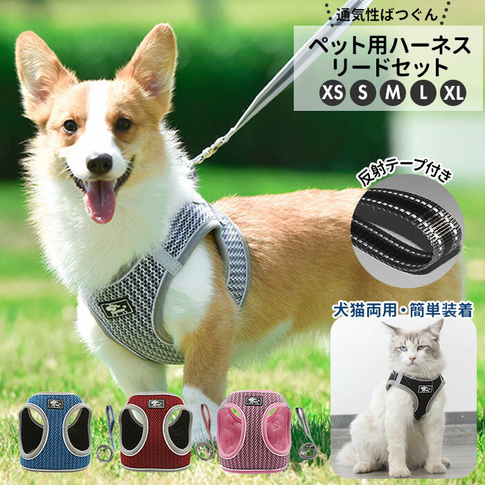 犬 リード ハーネス セット 通販 ハーネスリード 小型犬 可愛い 胴輪 犬用 猫用 中型犬 大型犬 ...