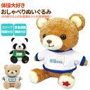 しゃべる ぬいぐるみ 通販 おしゃべりぬいぐるみ 動くおもちゃ パンダのくうちゃん くまのそらちゃん 動く 人形 かわいい 動物 玩具 アニマル ペット キッズ 子ども 子供 園児 未就園児 女の子 誕生日 ギフト プレゼント 体操大好き