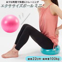 バランスボール 通販 エクササイズボール ミニ 22cm ピラティスボール ヨガボール フィットネス トレーニング ブランド tone トーン グリーン ピンク...