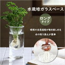 花瓶 ガラス 通販 BULB VASE バルブベース ロング KEGY4070 ガラスベース ガラス花器 かわいい 水栽培 容器 おしゃれ 球根 液肥 かわいい 敬老の日 プレゼント 母の日 ギフト オシャレ インテリア 雑貨