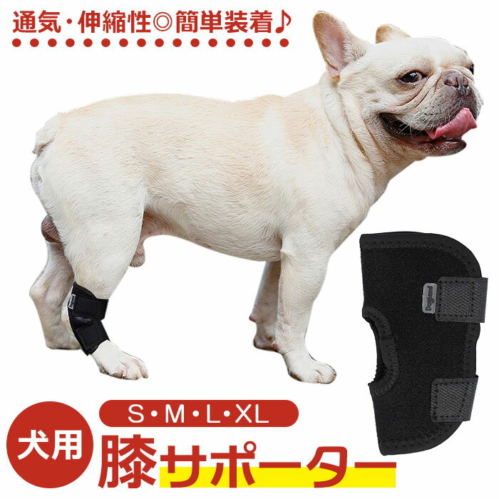 犬 サポーター 通販 膝サポーター 膝 膝用 ひざ 腕サポーター 腕 腕用 うで 肘サポーター 肘用 肘 ひじ 肘当て プロテクター 介護用品 サポート ケア用品 関節 ペット 犬用 いぬ イヌ シニア 介護 老犬 老齢犬のサムネイル