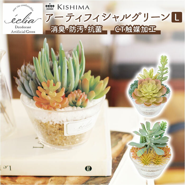 多肉植物 観葉植物 フェイク l 通販 おしゃれ 小さい CT触媒 消臭アーティフィシャルグリーン ECLIA エクリア インテリアグリーン 寄せ植え ポット フェイクグリーン インテリア 人工植物 枯れない コンパクト キャニスター 玄関 靴箱 雑貨 造花 KH-6118 人工観葉植物