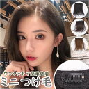 つけ毛 通販 ミニ ミニつけ毛 ウイッグ ポイントウィッグ 部分ウィッグ 部分かつら かつら デイリーウィッグ ボリュームアップ 手軽 ワンタッチピン付き 簡単...