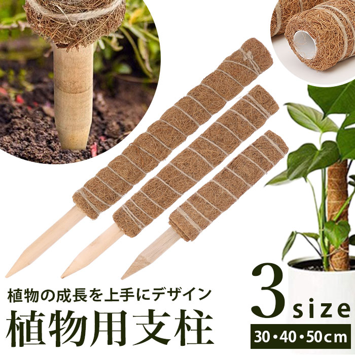 支柱 園芸 3サイズ 通販 鉢植え おしゃれ 植物支柱 観葉植物 ガーデニング ココナッツ支柱 モンステラ 添え木 つる性 ココナッツパームスティック スティック 園芸用品 30cm 40cm 50cm 雑貨 インテリア