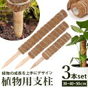 支柱 園芸 通販 3本入り コナッツパームスティック 鉢植え 植物支柱 観葉植物支柱 ガーデニング支柱 ココナッツ支柱 3本セット 観葉植物 園芸用品 つる性 家庭菜園 ガーデニング おしゃれ 便利