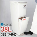 アスベル ゴミ箱 ASVEL 6605 通販 ダストボックス ごみ箱 分別ペダル ごみばこ くず入れ ゴミバコ スリム 2段 2分別 ふた付き 38リットル ペ...