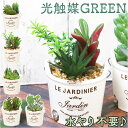 光触媒 観葉植物 卓上 通販 バケツ フェイクグリーン ミニ おしゃれ 造花 ギフト プチギフト 贈り物 かわいい 消臭 抗菌 抗カビ 母の日 置物 インテリア