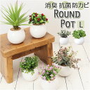 光触媒 フェイクグリーン 通販 観葉植物 フェイク ラウンドポットL CT触媒 卓上 小さい 消臭 抗菌 防汚 空気清浄 イミテーショングリーン リビング 玄関...