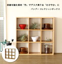 たけやか バンブー コレクションボックス 通販 TAKEYAKA コレクションケース SPICE OF LIFE KJLS2270 コレクションボード コレクションラック コレクションシェルフ 卓上 棚 収納 竹 木製 おしゃれ ナチュラル 新生活 インテリア