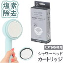amane シャワーヘッド カートリッジ2個入り 通販 AIRY DROP 浄水シャワーヘッド 天音 あまね 塩素除去 エアリードロップ 浄水シャワー 節水 バ...