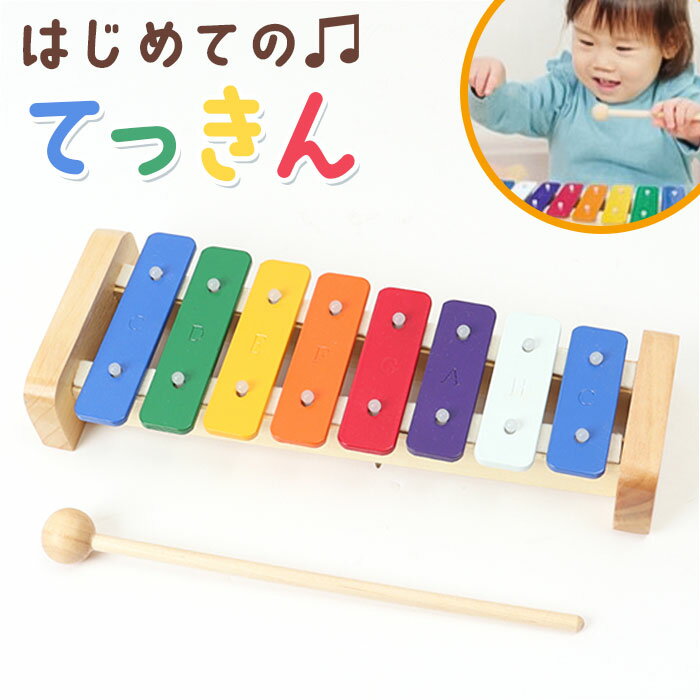 おもちゃ 楽器 通販 はじめてのてっきん 鉄琴 玩具 知育 ホビー オモチャ 打楽器 子供用 子供 キッズ 子ども こども 子供の日 男の子 女の子 出産祝い 誕生日 ギフト 日用品 雑貨