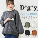 dgy ディージーワイ ブラウス ワイド 通販 ノーカラー ポケット 大きい 裾リブ ワイドスリーブ 襟リブ 袖リブ コットンツイル ダブルフェイス リネン 無...