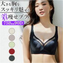 ブラジャー 大きいサイズ 通販 ブラ インナー 補正下着 下着 レース 薄い 通気性 大きな胸 小さく見える セクシー 快適 軽量 おしゃれ かわいい レディース
