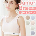 ジュニア ブラジャー 通販 ジュニアブラジャー ファーストブラ スポーツブラ ブラ フルカップ 下着 肌着 コットン 小学生 中学生 女の子 女子 通気性 吸汗...