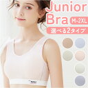 ジュニア ブラジャー 通販 ジュニアブラジャー ファーストブラ スポーツブラ ブラ フルカップ 下着 肌着 コットン 小学生 中学生 女の子 女子 通気性 吸汗性 吸水性 キッズ 子ども こども 子供