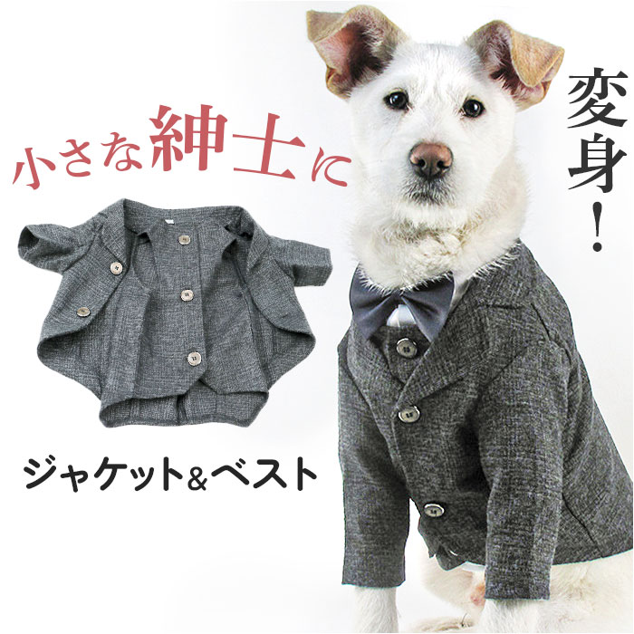 ペット 服 スーツ ベスト 犬 いぬ 通販 ジャケット コスチューム コスプレ ペット服 犬服 犬の服 ドッグウェア ペットウェア フォーマル おしゃれ 二足歩行 猫服 猫 ねこ ネコ 写真撮影 かわいい 可愛い イベント お出かけ お出掛け おでかけ