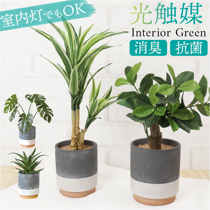 光触媒 フェイクグリーン 通販 観葉植物 人工観葉植物 ポット 鉢植え CMポット インテリアグリーン イミテーショングリーン 消臭 抗菌 防カビ 屋内 室内 おしゃれ かわいい 玄関 リビング 贈り物 ギフト 新生活 インテリア 雑貨 ケーアイジャパン