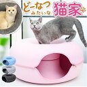キャットハウス 猫 通販 猫用ベッド 猫ハウス ドーム型 クッション もぐる 寝る 遊ぶ フエルト ドームベッド キャットベッド 猫用品 ベッド かわいい 可愛...