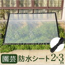 ガーデニング 園芸シート ロープ付き 2m×3m 通販 防水シート 透明シート 温室フィルム シート 温室カバー 雨よけ 保護シート 保護 植物 日よけ 日除け...