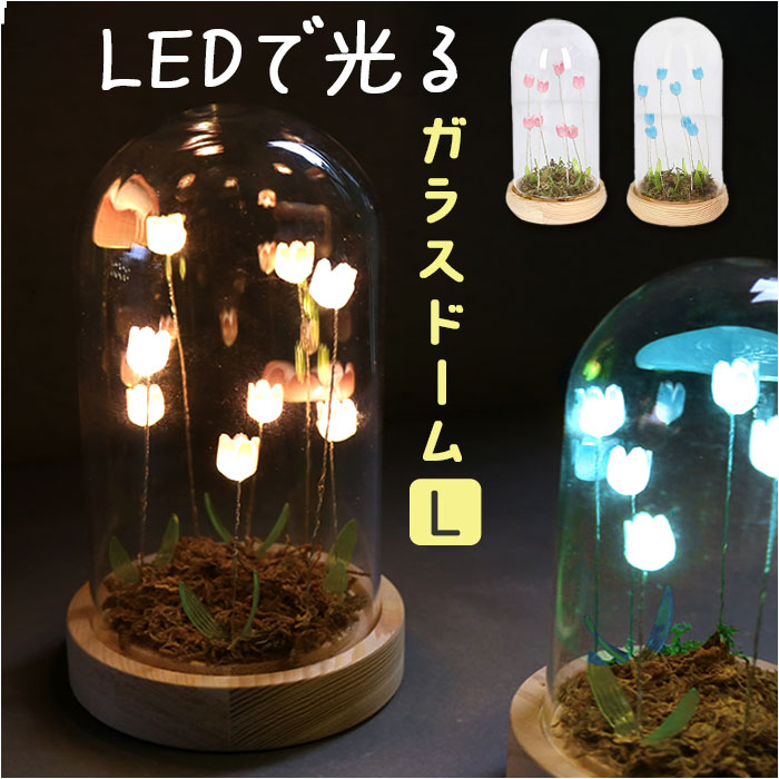 ガラスドーム フラワー 通販 チューリップ ガラスドームL LED ガラス ドーム お花 オブジェ  ...