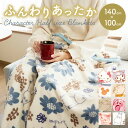 ハーフケット キャラクター 通販 毛布 ハーフサイズ ハーフ毛布 フランネル ブランケット ひざ掛け 膝掛け ひざかけ お昼寝 昼寝 午睡 保育園 幼稚園 あったか 防寒 暖かい 秋冬 冬用 かわいい オシャレ 可愛い おしゃれ 寝具 インテリア