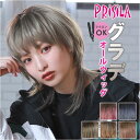 プリシラ prisila オールウィッグ ショート A-105 通販 ネオショートウルフ グラデーションカラーウィッグ オールウイッグ フルウィッグ 全頭かつら...