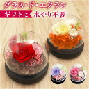 ブリザードフラワ- 通販 フラワーギフト ガラス製 フラワーアレンジメント ガラスドーム お花 花 かわいい おしゃれ フラワー 結婚祝い 新築祝い 玄関 リビ...