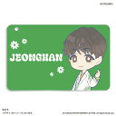 SEVENTEEN グッズ 通販 PetiTEEN スライドカードケース JEONGHAN ジョンハン セブチ プチティーン パスケース 定期入れ カードケース 定期券入れ ICカードケース カードホルダー 推し活グッズ かわいい 可愛い キャラクター