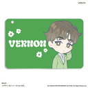 SEVENTEEN グッズ 通販 PetiTEEN スライドカードケース VERNON バーノン セブチ プチティーン パスケース 定期入れ カードケース 定期券入れ ICカードケース カードホルダー 推し活グッズ かわいい 可愛い キャラクター