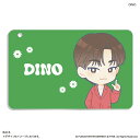 SEVENTEEN グッズ 通販 PetiTEEN スライドカードケース DINO ディノ セブチ プチティーン パスケース 定期入れ カードケース 定期券入れ ICカードケース カードホルダー 推し活グッズ かわいい 可愛い キャラクター