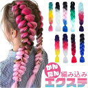 キッズ ダンス ヘア エクステ 通販 ブレイズエクステ カラーエクステ ヘアエクステ 付け毛 つけ毛 付け髪 つけ髪 エクステンション ブレイズ 子供 こども 子ども ダンス衣装 ヒップホップ ストリート つけげ コスプレ 仮装 キッズダンス ヘアアクセサリー