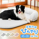 ペットベッド 通販 ペットマット 枕付きマット ペットクッション ひんやりマット ペットシーツ 暑さ対策 軽量 軽い クールマット 犬 いぬ 猫 ねこ 枕付き 洗える 快適 涼しい シンプル 冷感マット ギフト 贈り物