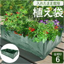 植え袋 ガーデンベッド 通販 野菜植物コンテナ 植栽コンテナ 植物ベッド 栽培バッグ 植物栽培バッグ 植物栽培バック 栽培バック 仕切り グリッド付き ガーデニ...
