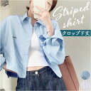 シャツ ストライプ クロップ丈 レディース 通販 ブラウス レディースブラウス レディースシャツ 長袖ブラウス 長袖シャツ カジュアルシャツ クロップ 羽織 羽織り 短め 長袖 カジュアル トップス 通勤 通学 女性 おしゃれ オシャレ