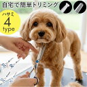 犬 トリミングシザー 通販 犬用ハサミ 犬用はさみ ペット用ハサミ 猫用ハサミ トリミング シザー トリミング用 カット ハサミ はさみ 鋏 犬用品 猫用品 犬猫 動物 ペット用品 ペットグッズ お手入れ ケア お手入れグッズ ケアグッズ ペット雑貨