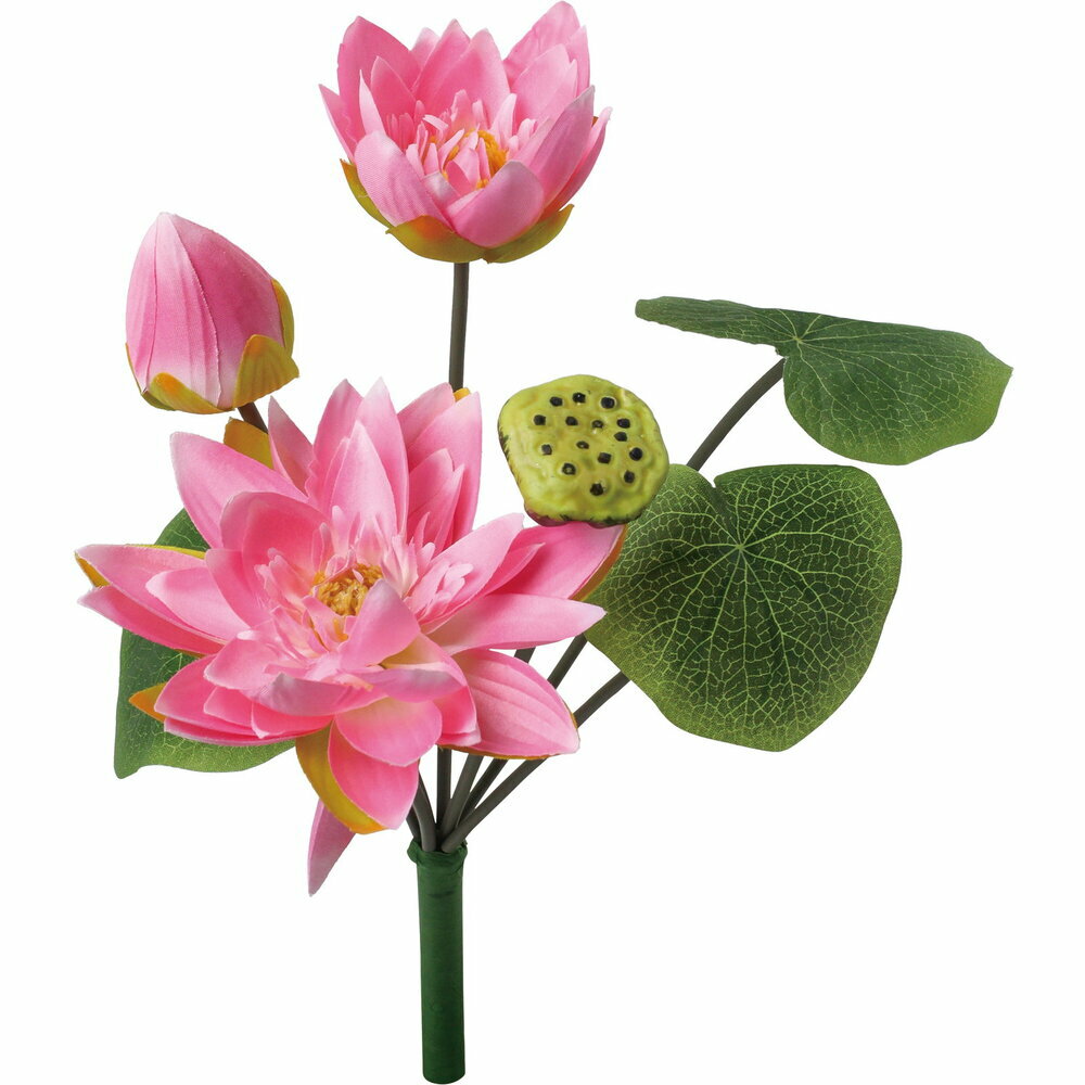 楽天市場】蓮の花 インテリア（カラーピンク）の通販