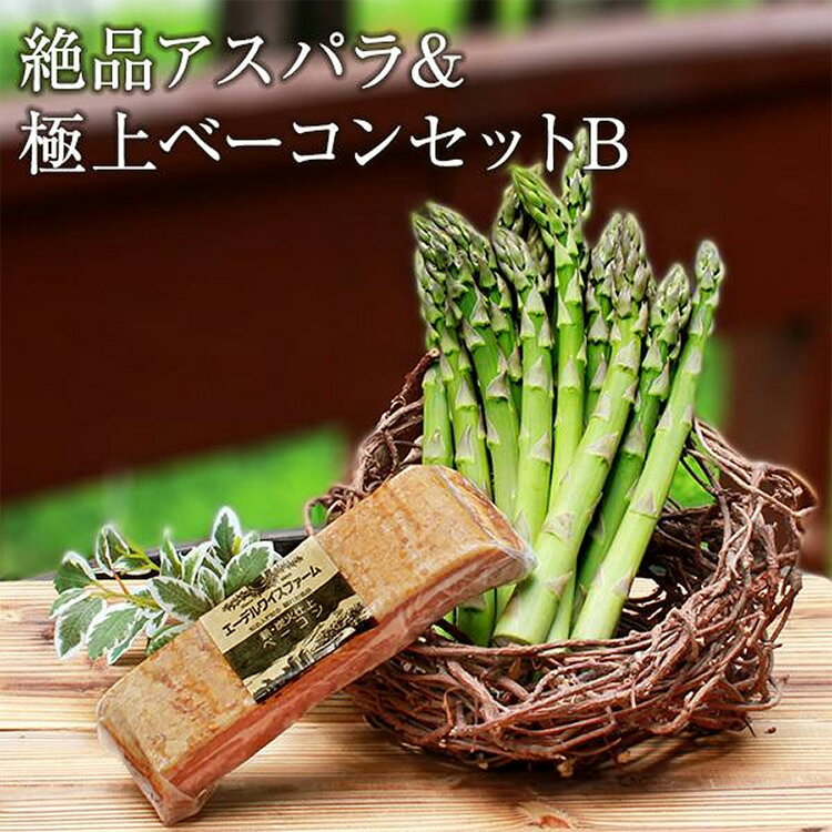 絶品アスパラ＆極上ベーコンセットB【簡易包装】 母の日 ギフト アスパラ ベーコン 北海道 詰め合わせ
