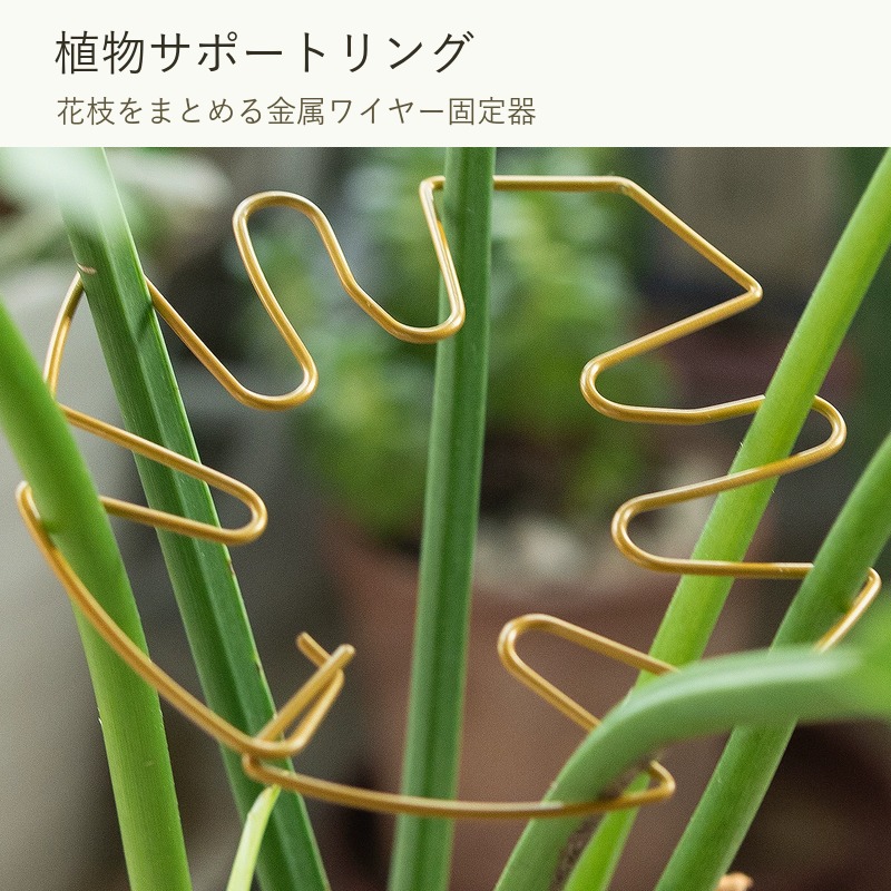 BADUSの植物サポートリングは、鉢植えや観葉植物の広がりやすい茎、花枝をまとめて支える金属ワイヤー製の植物固定器です。源画像では、ゴールド系のワイヤーリングを植物の茎まわりに差し込み、枝を収束させて見た目を整える使用例を確認できます。元タイトルにはモンステラ、天堂鳥、春羽などの観葉植物用途が含まれています。SKUは小サイズ2個セットと大サイズ2個セットの2種類です。正確な寸法、対応する茎の太さ、耐荷重は元データで確認できないため、小大の選択肢として整理しています。使用時は茎や葉を強く締め付けず、植物の成長や向きに合わせて位置を調整してください。金属ワイヤーの先端や曲げ部分で手や葉を傷つけないよう注意し、水や土が付いた場合は拭き取って乾かしてください。植物、鉢、土、装飾小物は撮影用イメージです。植物の種類や状態により使いやすさは異なるため、無理に押し込まず、合うサイズを選んでください。