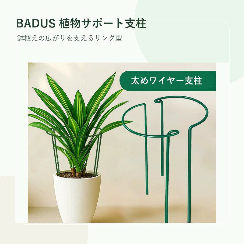 BADUSの植物サポート支柱は、鉢植えや観葉植物の葉茎の広がりをリングで支える園芸用アクセサリーです。源画像ではグリーンのワイヤー支柱、リング形状、鉢植えへの設置例を確認できます。サイズは21×35cm、25×40cm、30×50cmの3種類で、数量は2個、4個、6個、8個から選べます。鉢の大きさ、植物の高さ、支えたい範囲に合わせて選択してください。土に差し込んで使うタイプで、葉が外側へ広がりやすい植物の姿を整える補助に向いています。植物を強く締め付けず、茎や葉を傷めない位置でやさしく支えてください。植物、鉢、土、園芸工具などの撮影小物は付属しません。使用前後に曲がり、塗装剥がれ、サビ、先端部の変形がないか確認し、硬い土へ無理に差し込まないでください。