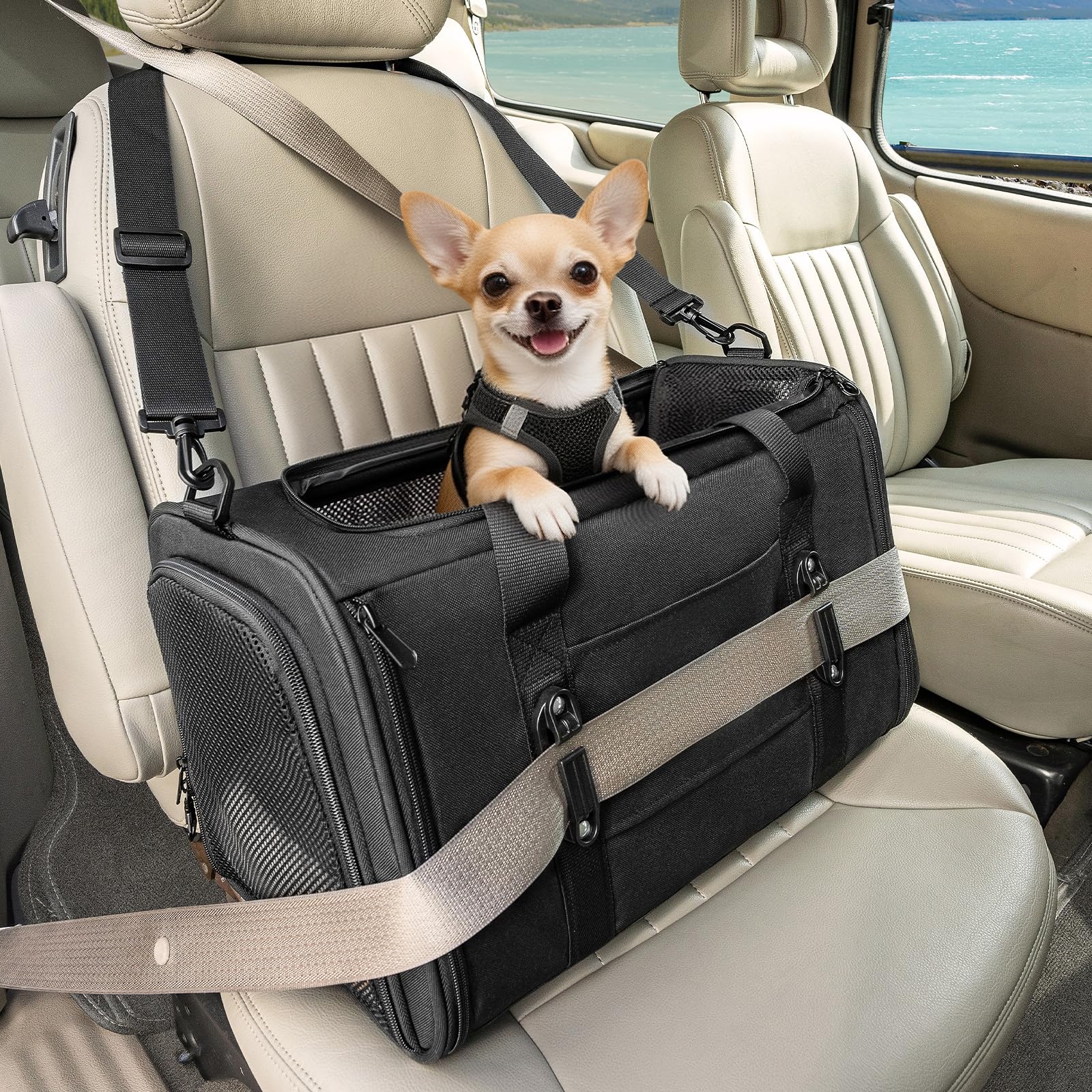 BADUS猫キャリー ペットキャリーバッグ 小型犬 安全バックル付き 脱走防止 ロック付きファスナー 型崩れ防止 折りたたみ 防災·通院·新幹線