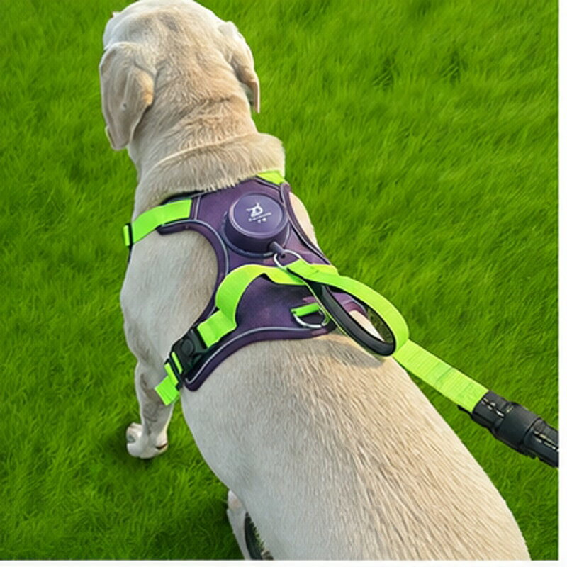 犬用ハーネス一体型リード背中で支えるベスト型ハーネスに、1.6mの伸縮リードを組み合わせた散歩用セットです。小型犬から中型犬の外出時に使いやすく、体を包み込む形で装着できます。両手を空けやすい一体型デザイン通気性を意識したメッシュ風生地夜の散歩にも見えやすい反射風ディテールS/Mサイズと4カラーから選択可能対象の目安は画像とSKU表記を確認してください。装着時は胸まわりに無理がないか確認し、使用前に金具、縫製、リード部分の状態を点検してください。初回使用時は室内で短時間試着し、歩き方や締め付けを確認してから外出してください。成長期の犬や毛量の多い犬は、定期的に胸囲を測り直すとサイズ確認がしやすくなります。
