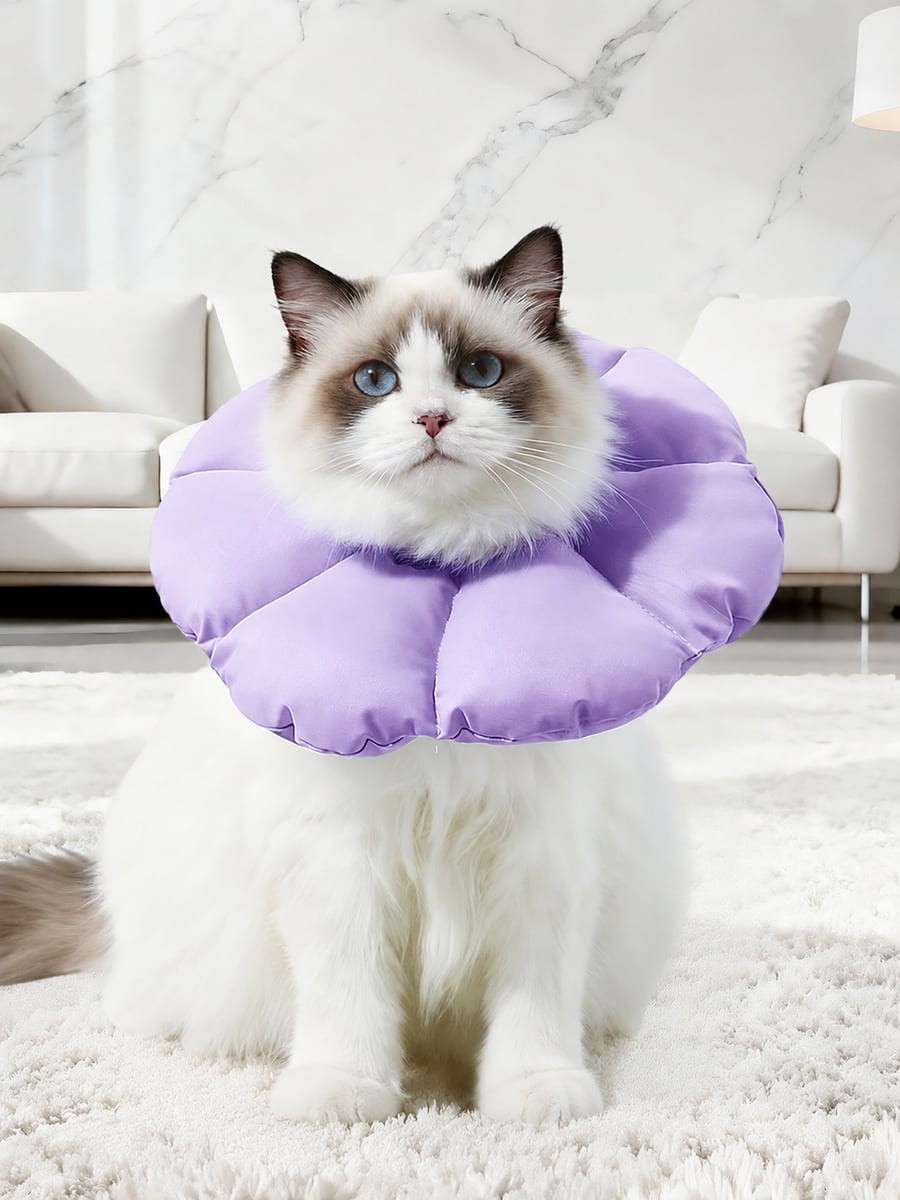 BADUSのエリザベスカラーは、猫や小型犬の首まわりに装着しやすいペット用ケア用品です。術後、皮膚ケア、爪切り後など、舐めたり噛んだりしやすい場面の保護に役立ちます。やわらかいタイプで日常のペットケアに使いやすく、サイズ、カラー、セット内容がある場合は選択肢をご確認ください。