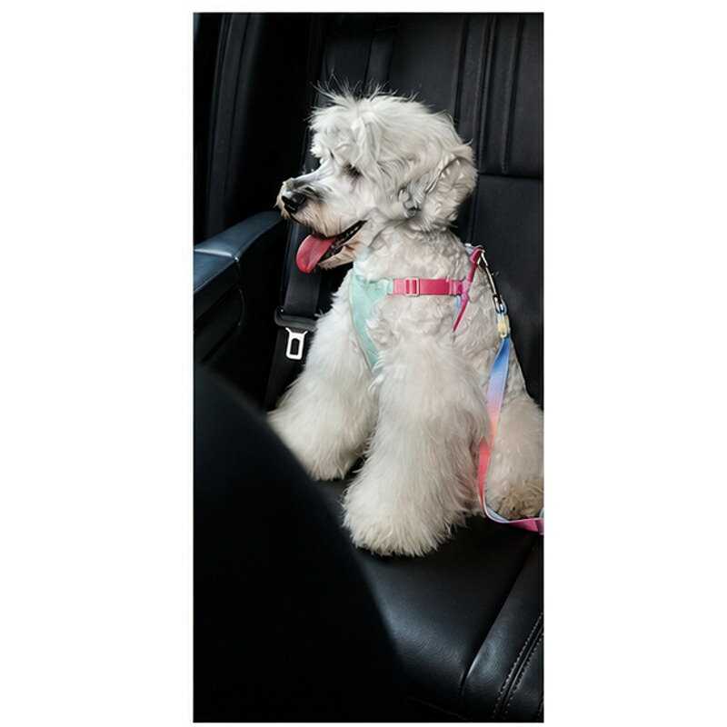 犬用ハーネスに接続して車内で使用するベルト。朝焼け色と夕焼け色の基本タイプ、カーキとブルーグリーンの弾力タイプの4仕様。源タイトルにある第三者名は除外。基本タイプと弾力タイプ。ハーネス接続用金具。4カラー仕様。用途や設置場所に合わせて、商品ページの仕様名、カラー、寸法、セット内容をご確認ください。ご使用前に本体、縫製部、金具、接続部、表面に破損や変形がないか確認してください。火気、高温部、運転操作や視界を妨げる場所など、商品に適さない環境では使用しないでください。屋外用品は強風や荒天時に取り外し、乾燥させて保管してください。サイズ表記は商品外形の目安です。測定方法により差が生じる場合があります。付属品は選択したSKUのセット内容に限られます。未確認の耐荷重、防水等級、遮光率、安全保証、認証、医療効果は表示していません。