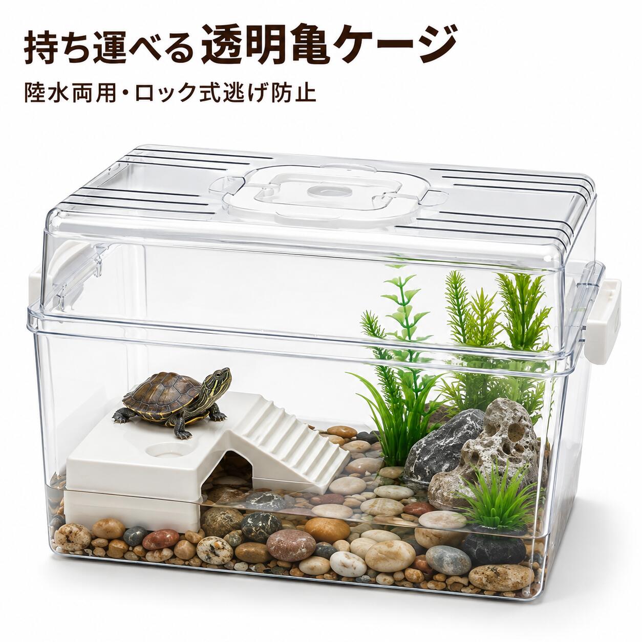 楽天市場】オカヤドカリ 飼育 ケースの通販
