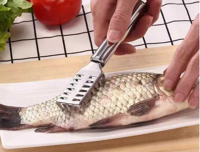 BADUS 魚うろこ取り うろこ取り器 魚のウロコ取り 魚処理ツール キッチンツール ステンレス 調理器具 下ごしらえ 魚料理 うろこ落とし 手動 魚さばき 家庭用 業務用 キッチン用品 魚の下処理をしやすい badus-10001705 くらしのBADUS サンプル画像2