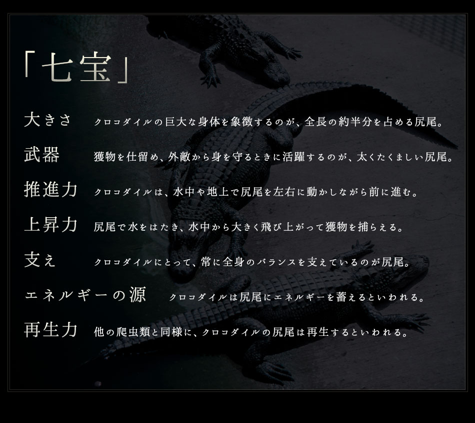 【池田工芸】《最新作》ldquo;藍染めrdquo;クロコダイルの極上の濃淡を味わう、「七宝」財布【7月7日頃出荷】
